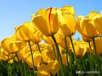 ​受益匪浅的读音是什么？受益匪浅的读音是什么意思