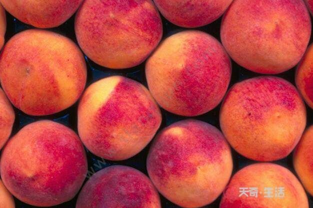桃和杏可以一起吃吗