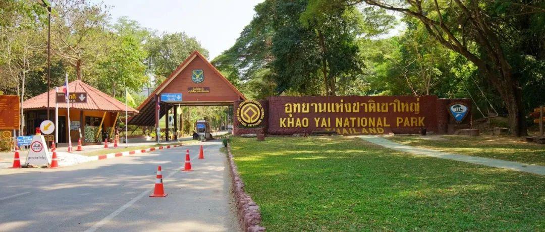 泰国旅游推荐（泰国旅游景点排行榜前十名）