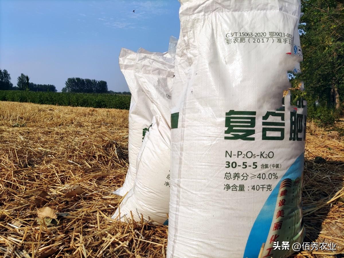 玉米高产栽培技术途径（玉米怎么种植才能高产一些）