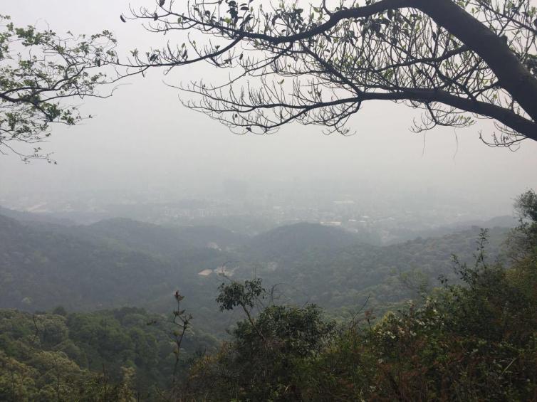 广东周末自驾游好去处（广州周边休闲自驾一日游）