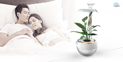​大型后花园景观设计（后花园设计情怀）