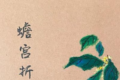 ​折桂蟾宫什么意思