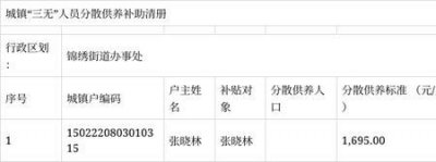 ​村级财政供养人员包括哪些