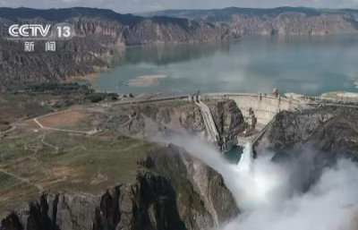 ​龙羊峡水电站属于哪个发电集团