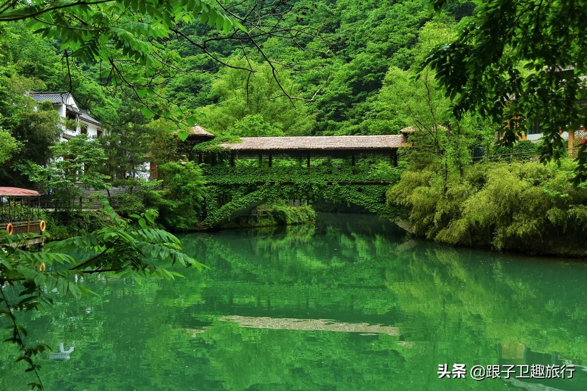 秦岭形成的原因(秦岭是怎么形成的)