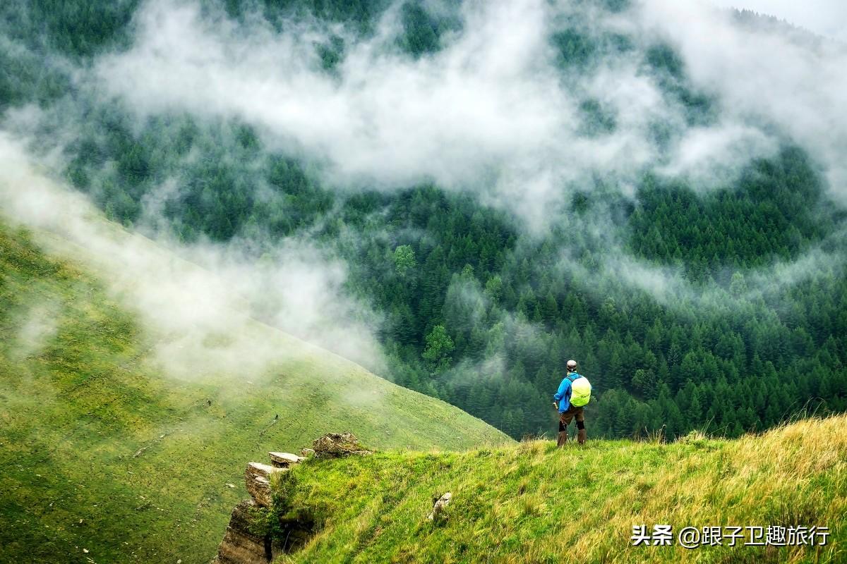 秦岭形成的原因(秦岭是怎么形成的)