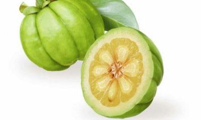 ​藤黄果的功效与作用 加快脂肪燃烧预防脂肪肝