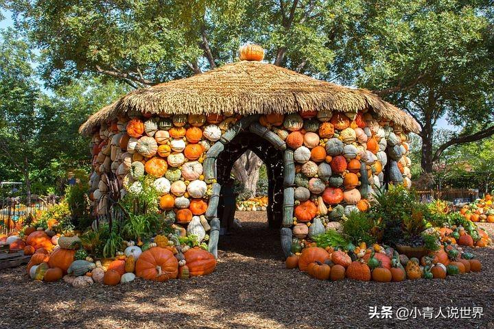 达拉斯在美国哪里（达拉斯在美国哪个州的地方）
