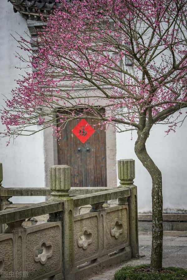 梅花象征的意义是什么-精神品质是什么-（梅花的寓意与花语象征着什么）