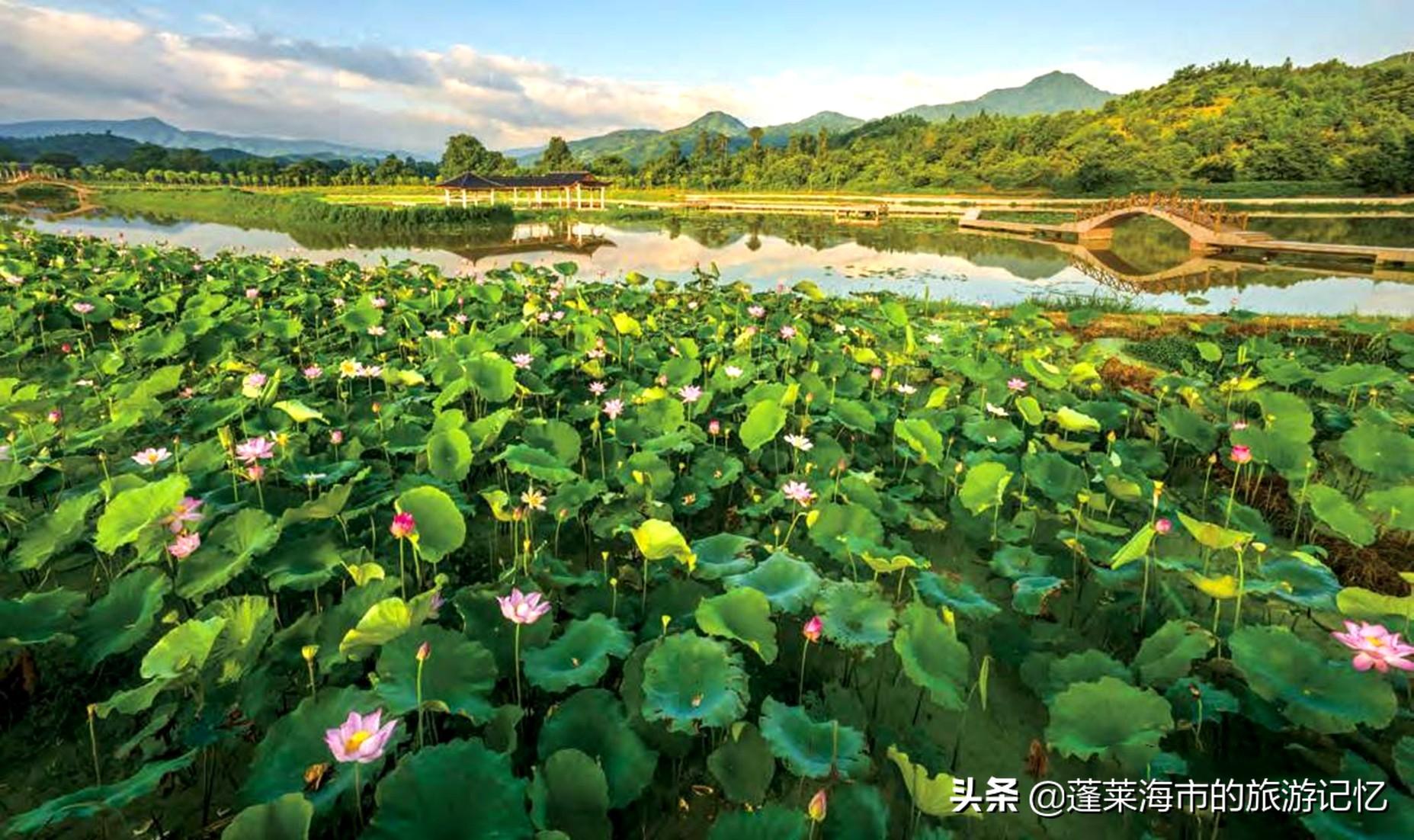 福建三明旅游必去十大景点（三明旅游必去十处景点最佳选择）