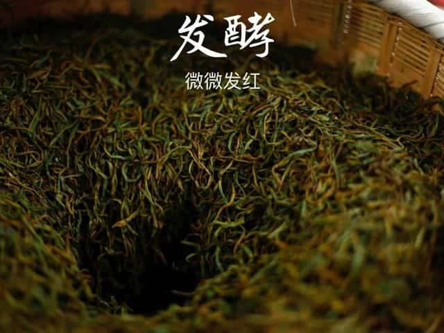 正山小种能长期喝吗-（正山小种属于什么档次）