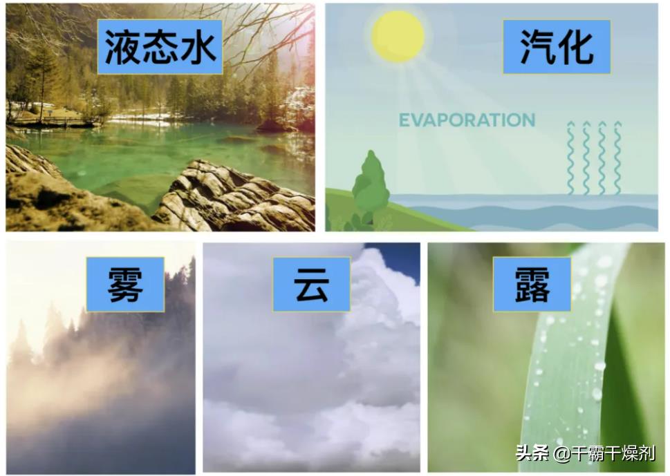 室内湿度100了有什么影响（湿度100%是什么概念）