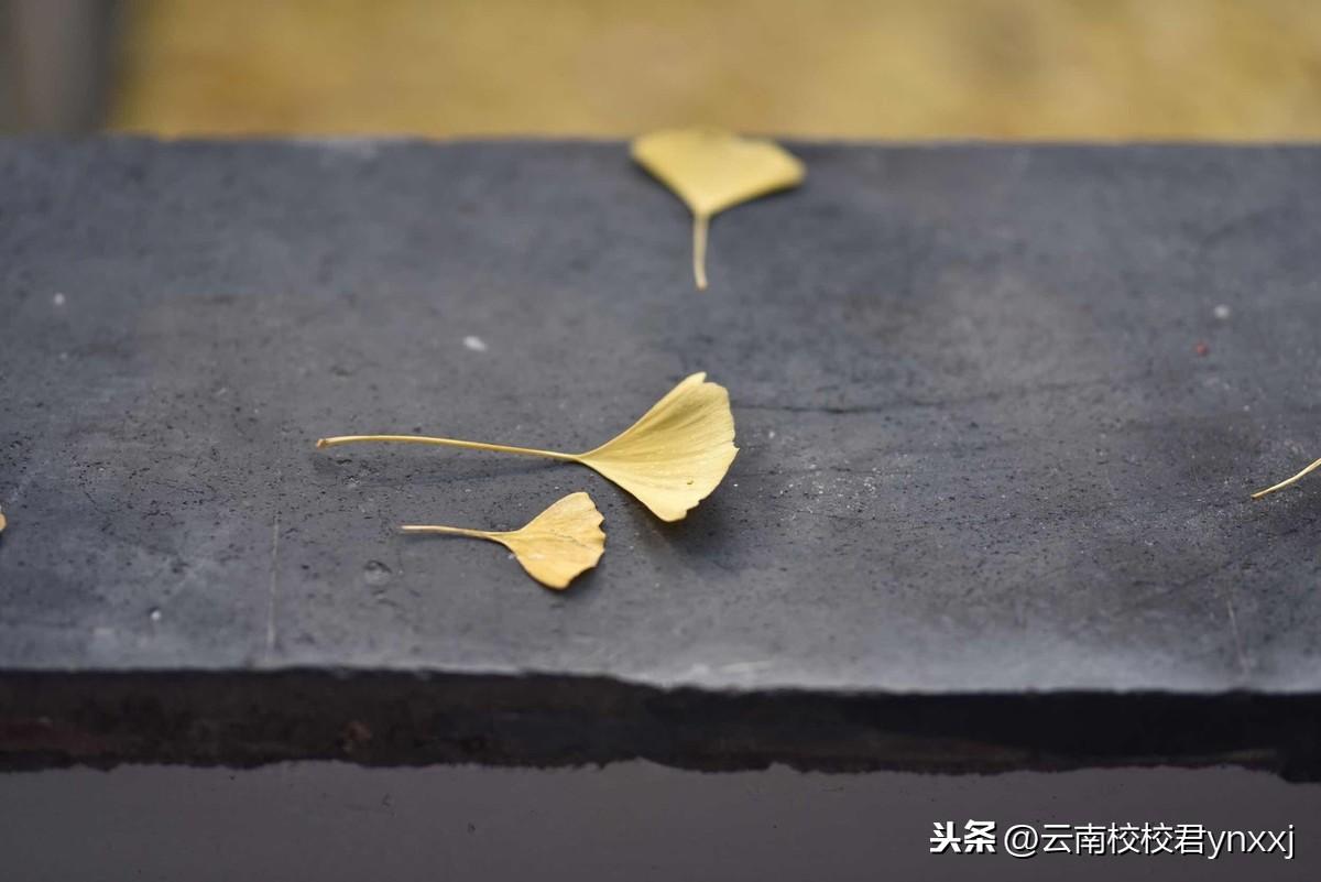 理综200算高分吗（高考理综上200很难吗）