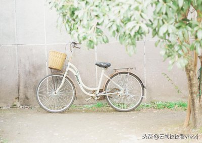 ​理综200算高分吗（高考理综上200很难吗）