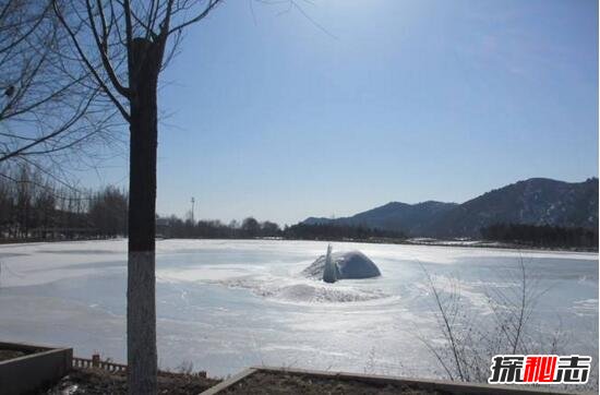 青海湖水怪之谜，体长超14米好像恐龙(视频)