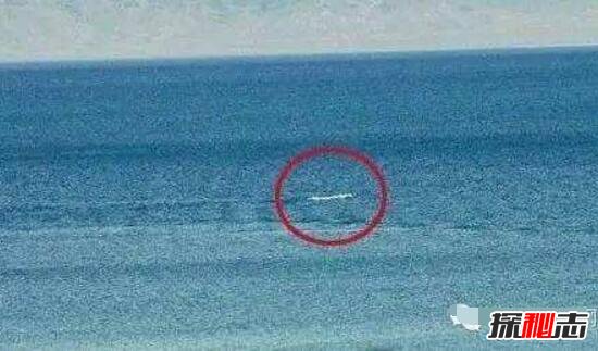 青海湖水怪之谜，体长超14米好像恐龙(视频)