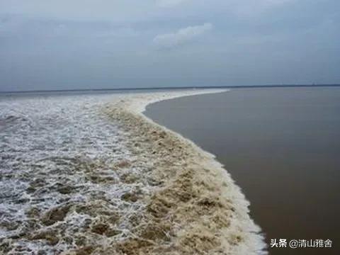 梁山好汉与方腊一战牺牲多少（梁山征方腊最惨烈一战）(图9)