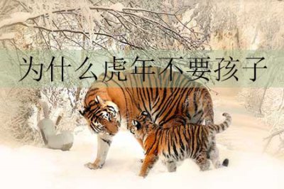 ​为什么虎年不要孩子(虎年不要宝宝的原因)