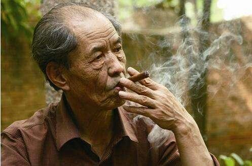 白鹿原电视剧为何突然停播（白鹿原到底出了什么事）(2)