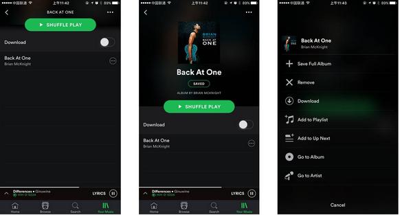 spotify官网在线（Spotify体验小感轻巧高效）(18)