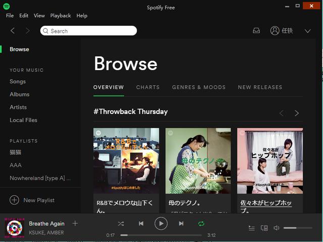 spotify官网在线（Spotify体验小感轻巧高效）(7)