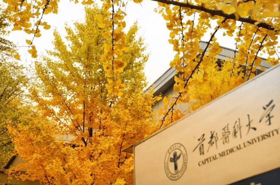 中国排名前十的医科学校（中国医科类大学排行榜）