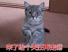 搞高校专项计划（国家专项计划的弊端）