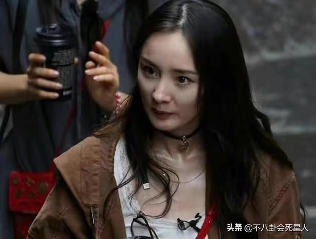 杨紫杨幂赵丽颖热巴同框（杨幂松弛热巴疲态）(6)
