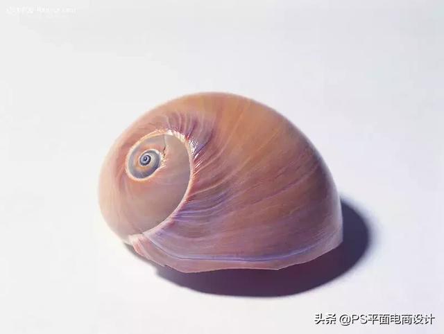 黄金螺旋分割线设计（手把手教你绘制黄金螺旋线）(2)