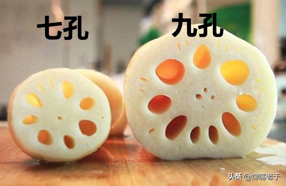 7孔藕和9孔藕的区别是什么（粉藕是七孔还是九孔）