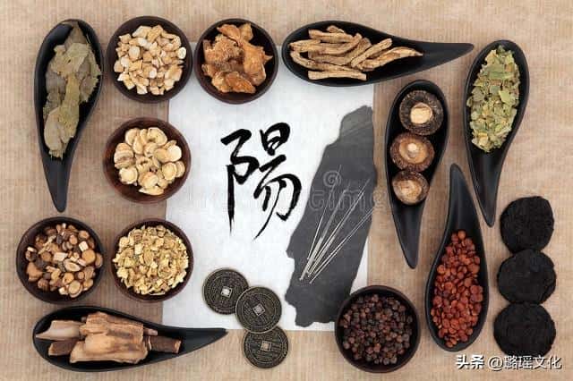2023十二生肖的全年运势详解（2023生肖运势是什么样的）