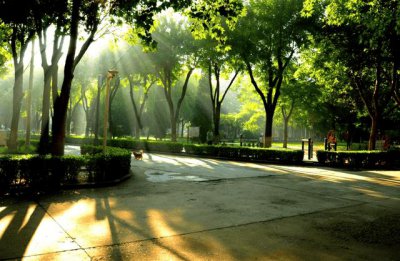 ​背景强大的二本大学校（国内目前最好就业的二本大学）