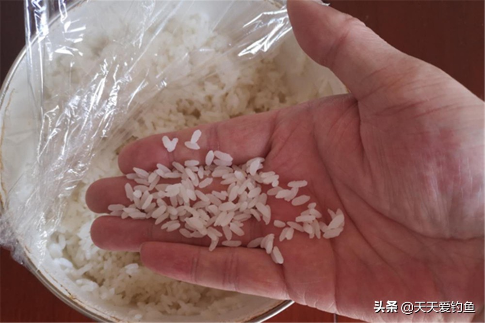 夏天高温钓鲫鱼饵料怎么配最好-（夏季野钓鲫鱼用什么饵料最好）