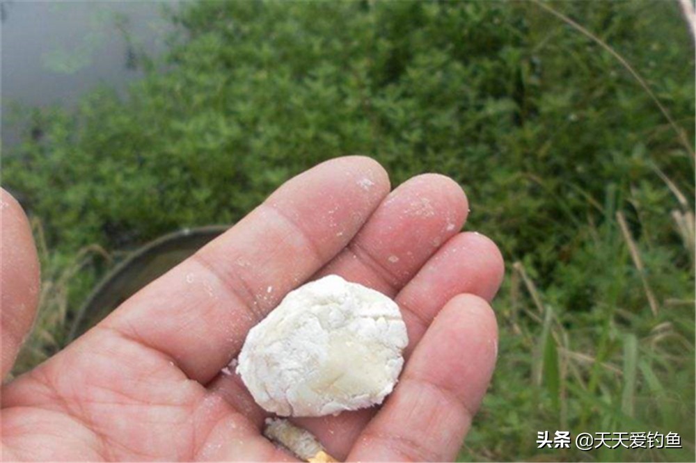夏天高温钓鲫鱼饵料怎么配最好-（夏季野钓鲫鱼用什么饵料最好）