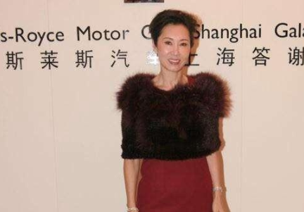 王健林的老婆是谁,林宁的身家背景曝光