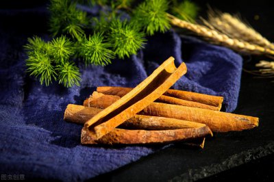 ​桂皮树被剥皮了还能活吗（桂皮树皮被扒后还在生长吗）
