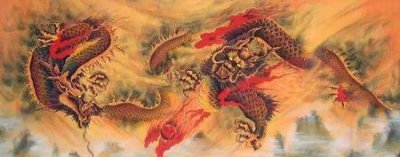 ​龙族和凤族各姓什么