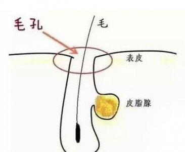 ​清洁毛孔最有效的产品(日本马油香皂)
