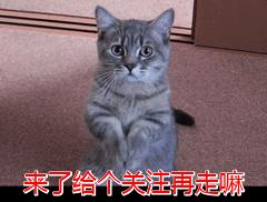 泰迪多久洗一次澡-（泰迪多久洗一次澡）