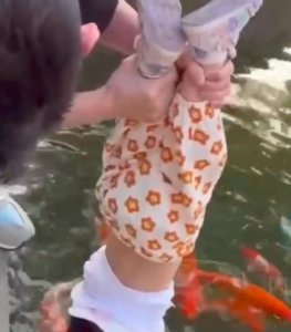 ​90后宝爸拽脚倒提1岁女儿摸金鱼（妈妈回应：没什么大不了的，也就十几秒，能