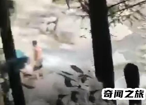 父亲山洪中紧抱儿子,拍摄者发声,究竟说了什么？