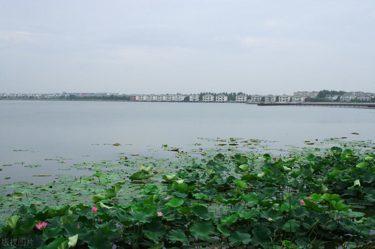 武汉离哪个城市近(与武汉相邻的外省城市)
