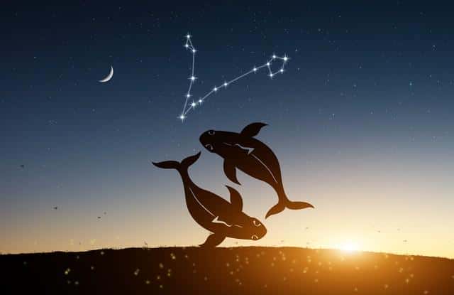 天空划分为多少个星座区域-（将全天空划分为多少个星座区域）