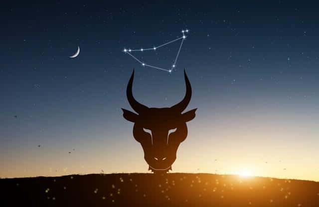 天空划分为多少个星座区域-（将全天空划分为多少个星座区域）