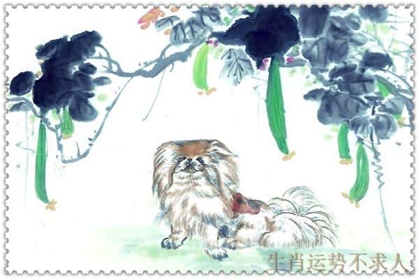 94年属狗过了27岁越来越好（94年属狗人注定的婚姻）