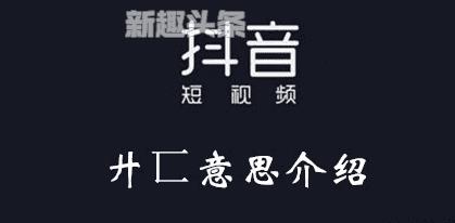 靑旾的意思百度百科（廾匸是什么意思）