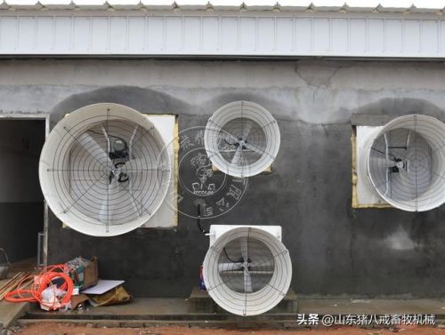玻璃钢屋顶通风机(屋顶通风机的规格尺寸)-第2张图片-