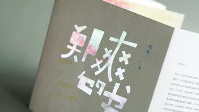 ​从郑爽的100件恋爱小事，你明白了谁才是她的最爱吗？