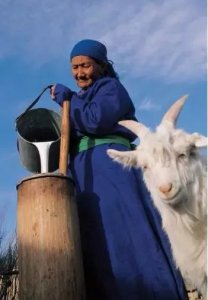 ​蒙古族的饮食习俗